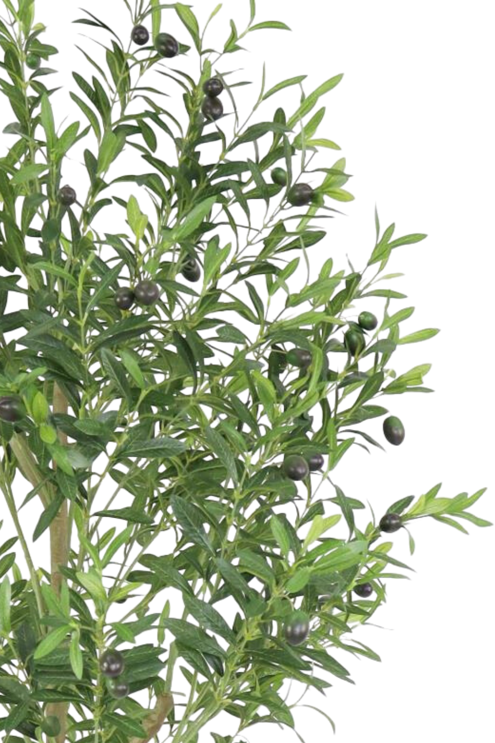 Details kunst olijfboom 180cm