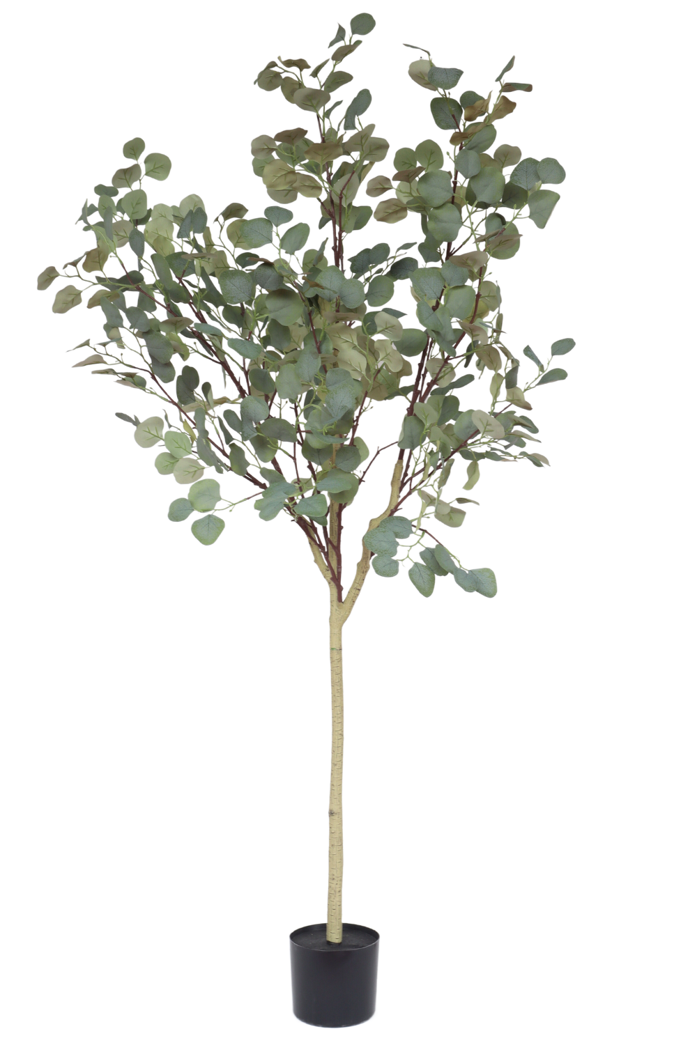 Pre-Order Eucalyptus Kunstboom 160cm