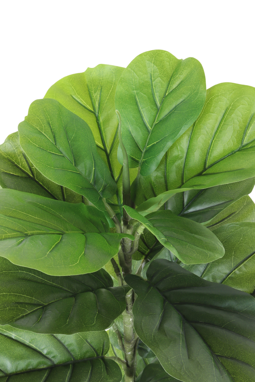 bladeren bovenaanzicht Ficus kunstplant 100cm