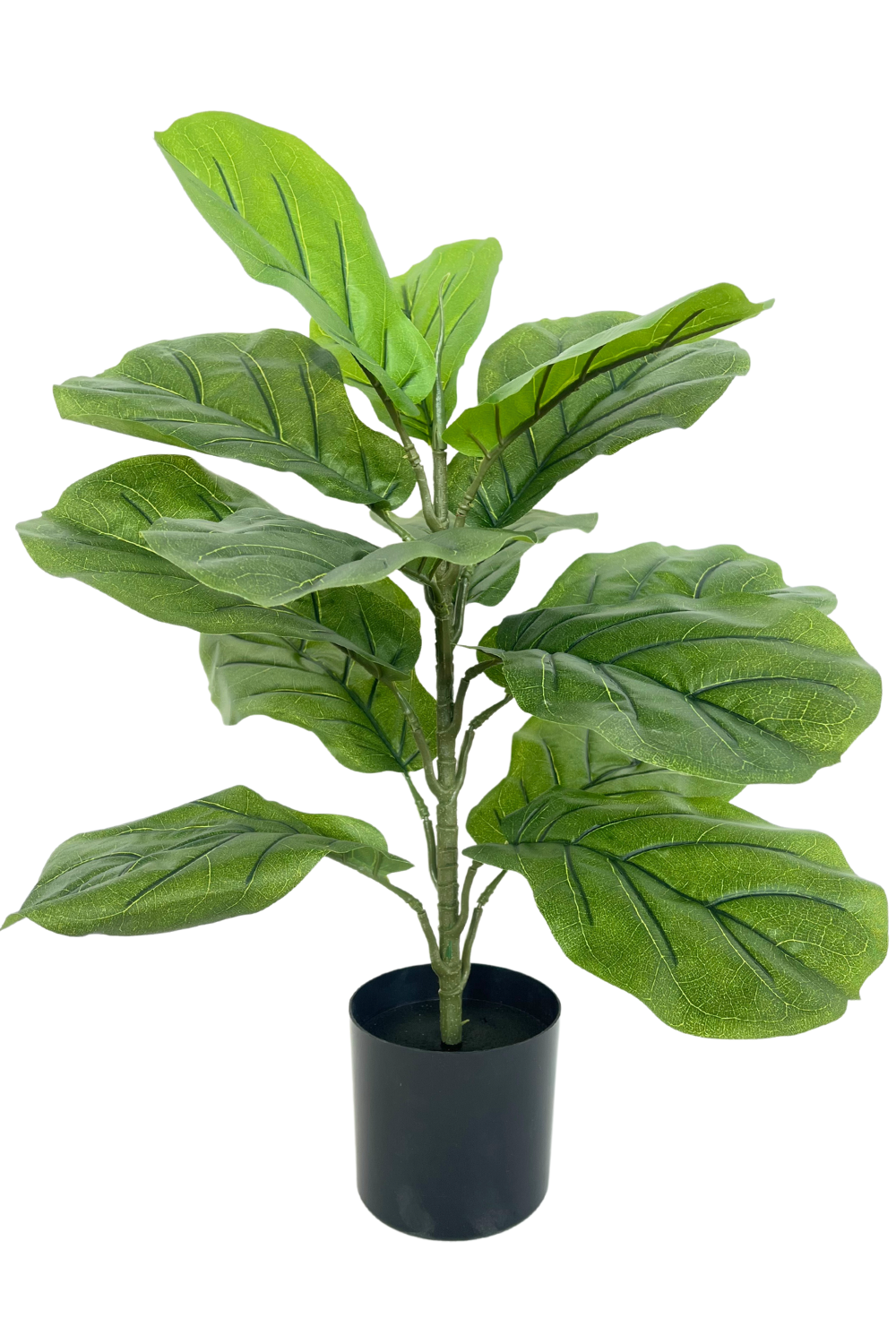 Ficus kunstplant 60cm