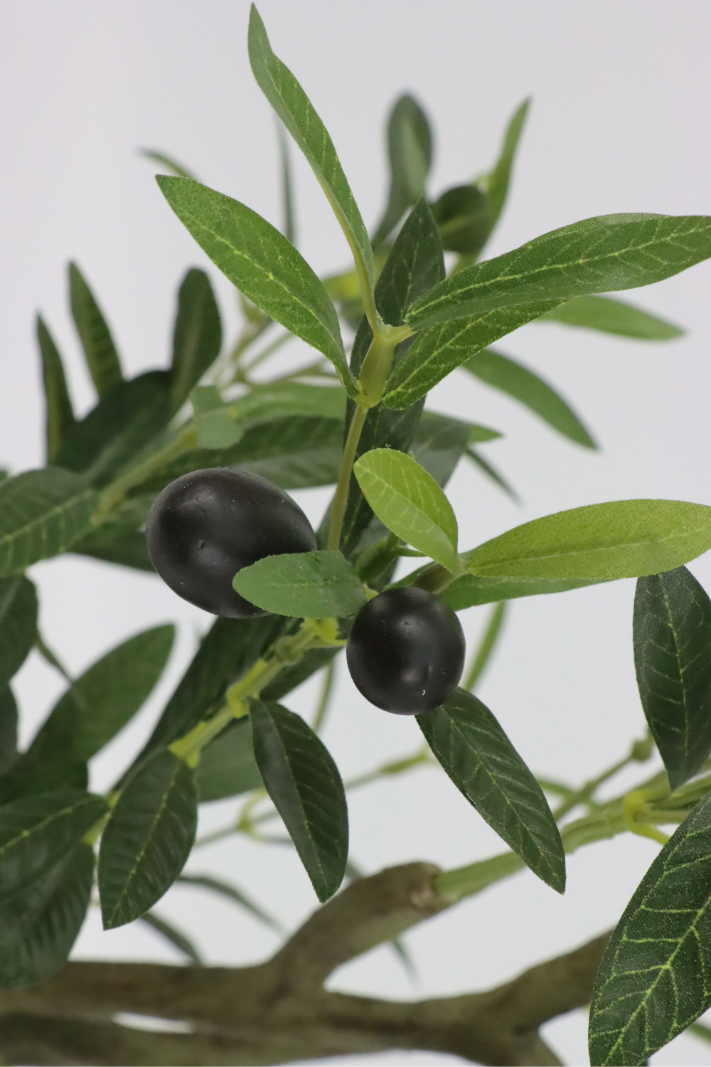 details kunst olijfboom 80cm