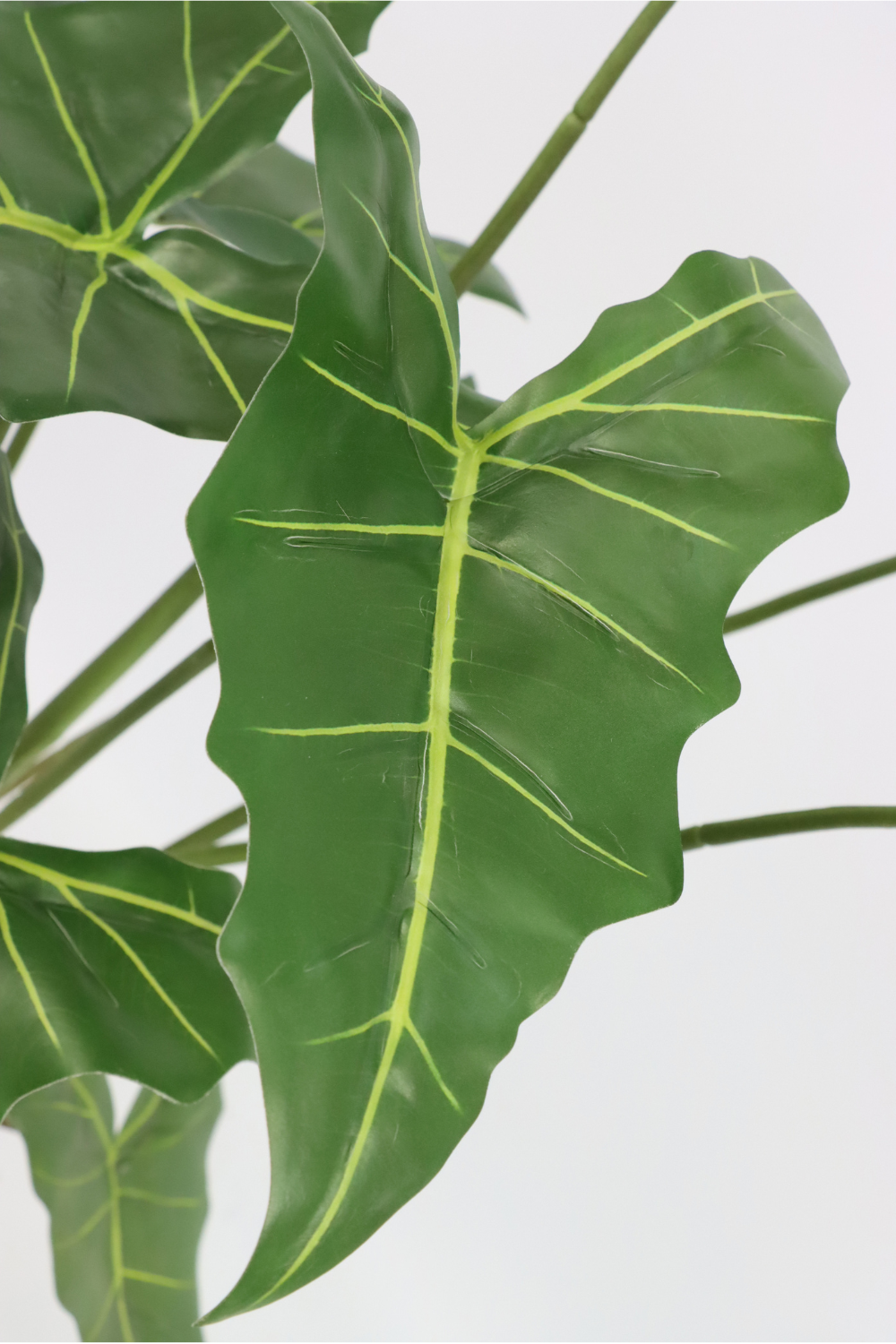 bladeren alocasia kunstplant 75cm