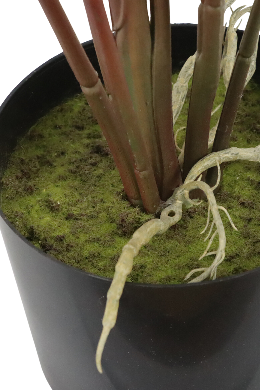 onderkant alocasia kunstplant 75cm