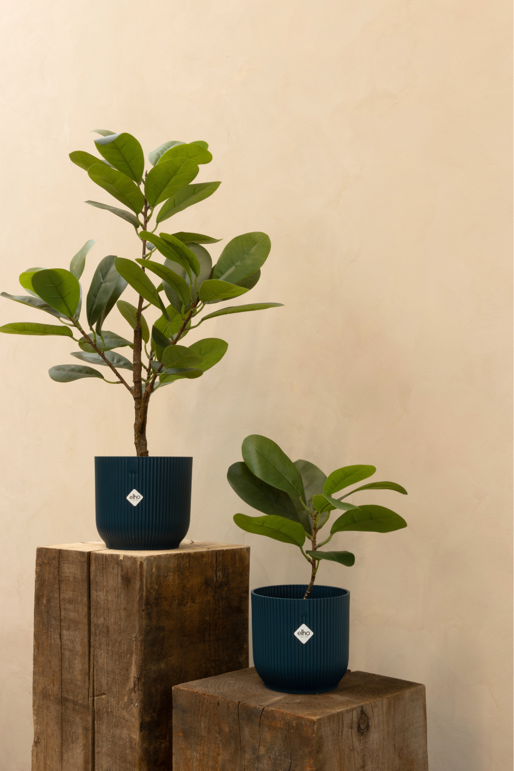 sfeerbeeld ficus kunstplant 35cm