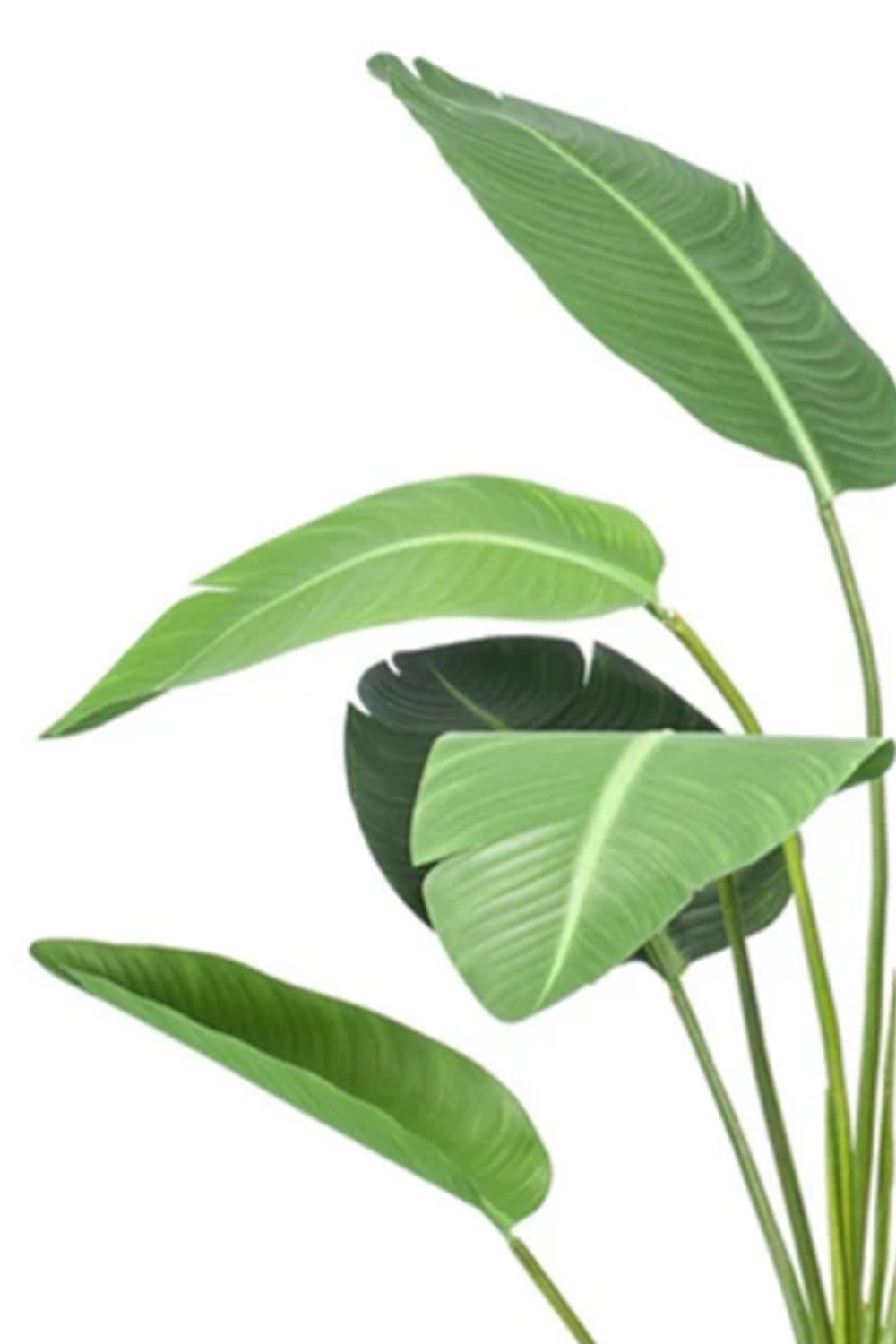 Strelitzia Kunstplant 120cm