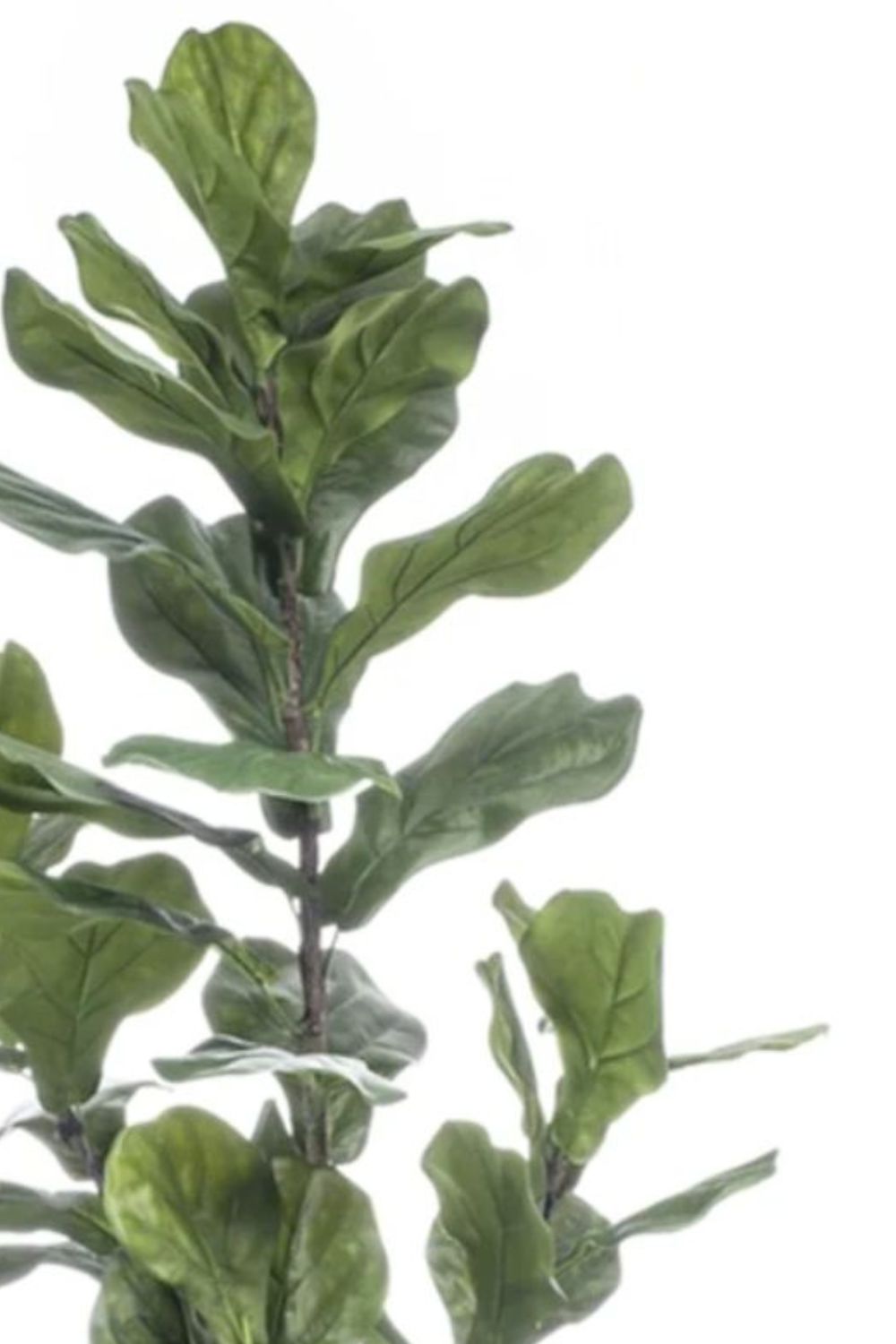 Ficus Lyrata Kunstplant 150cm