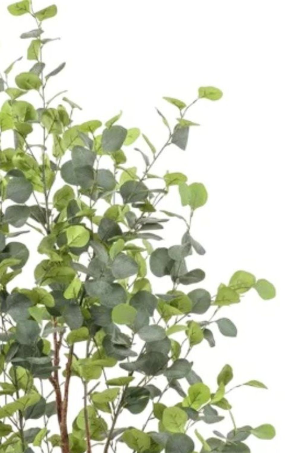 Bladeren Eucalyptus kunstboom 140cm