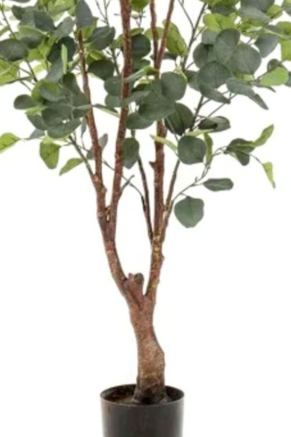 Stam eucalyptus kunstboom 140cm