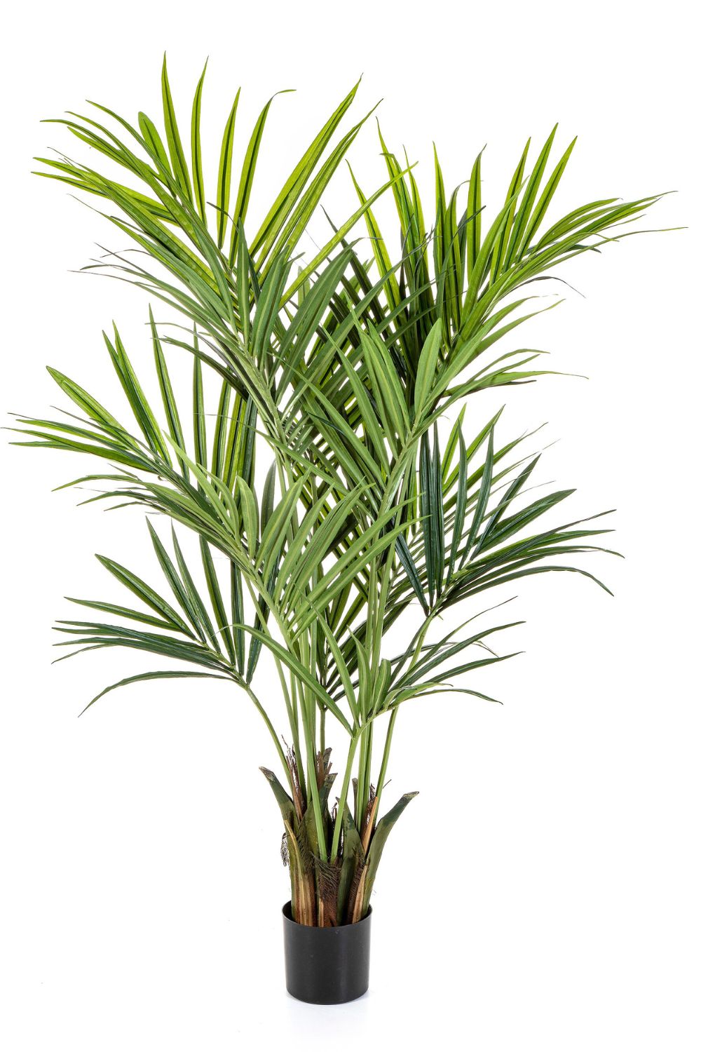 Kentia Kunstpalm 180cm