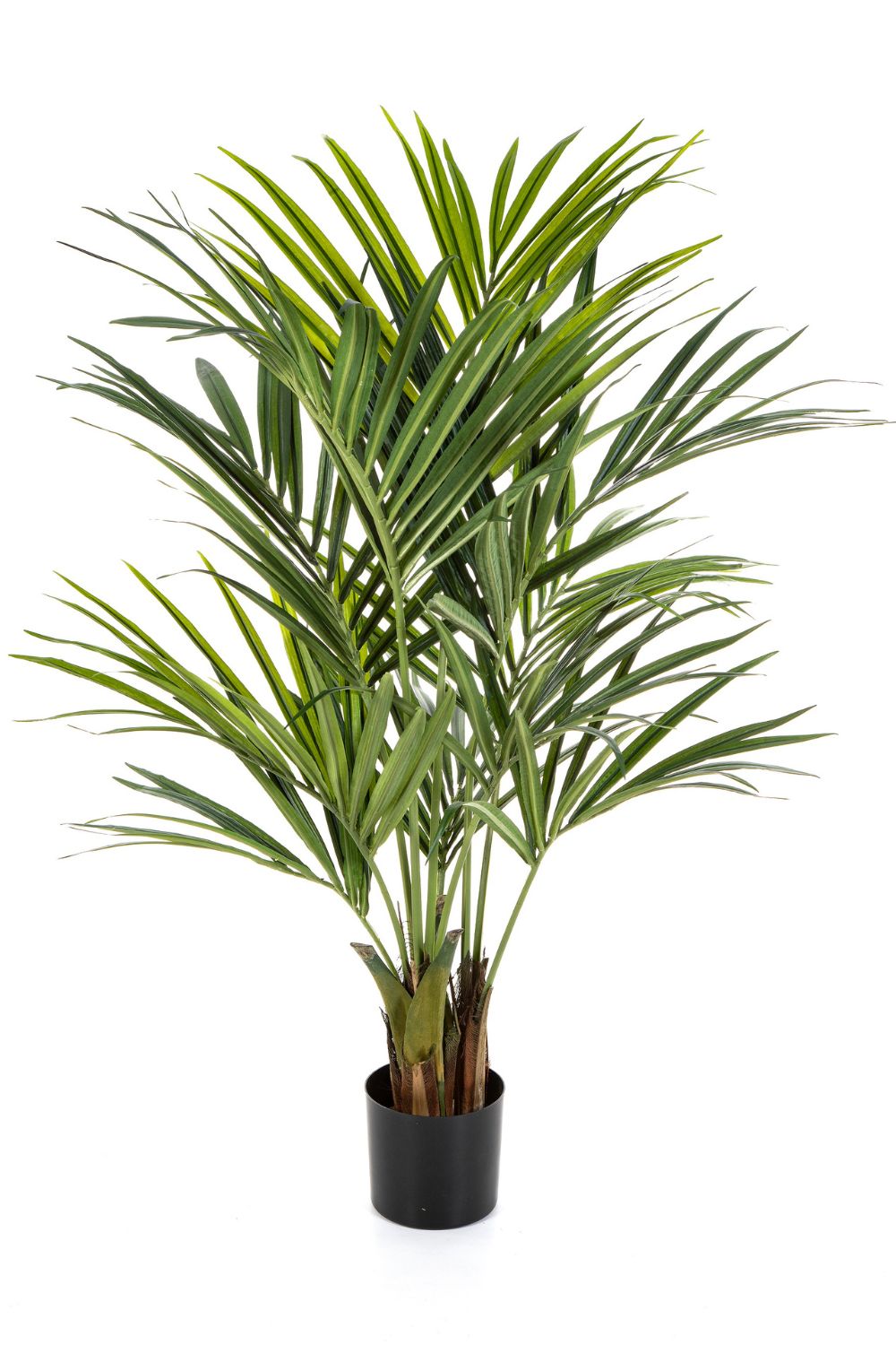 Kentia Kunstpalm 150cm