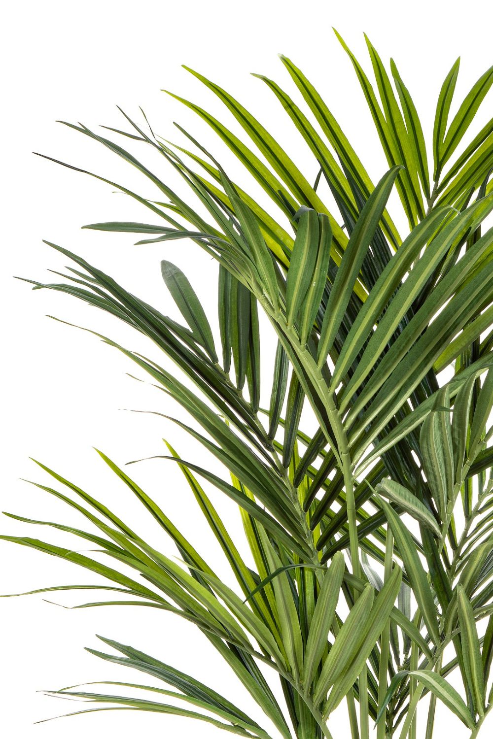 bladeren kentia kunstpalm 150cm