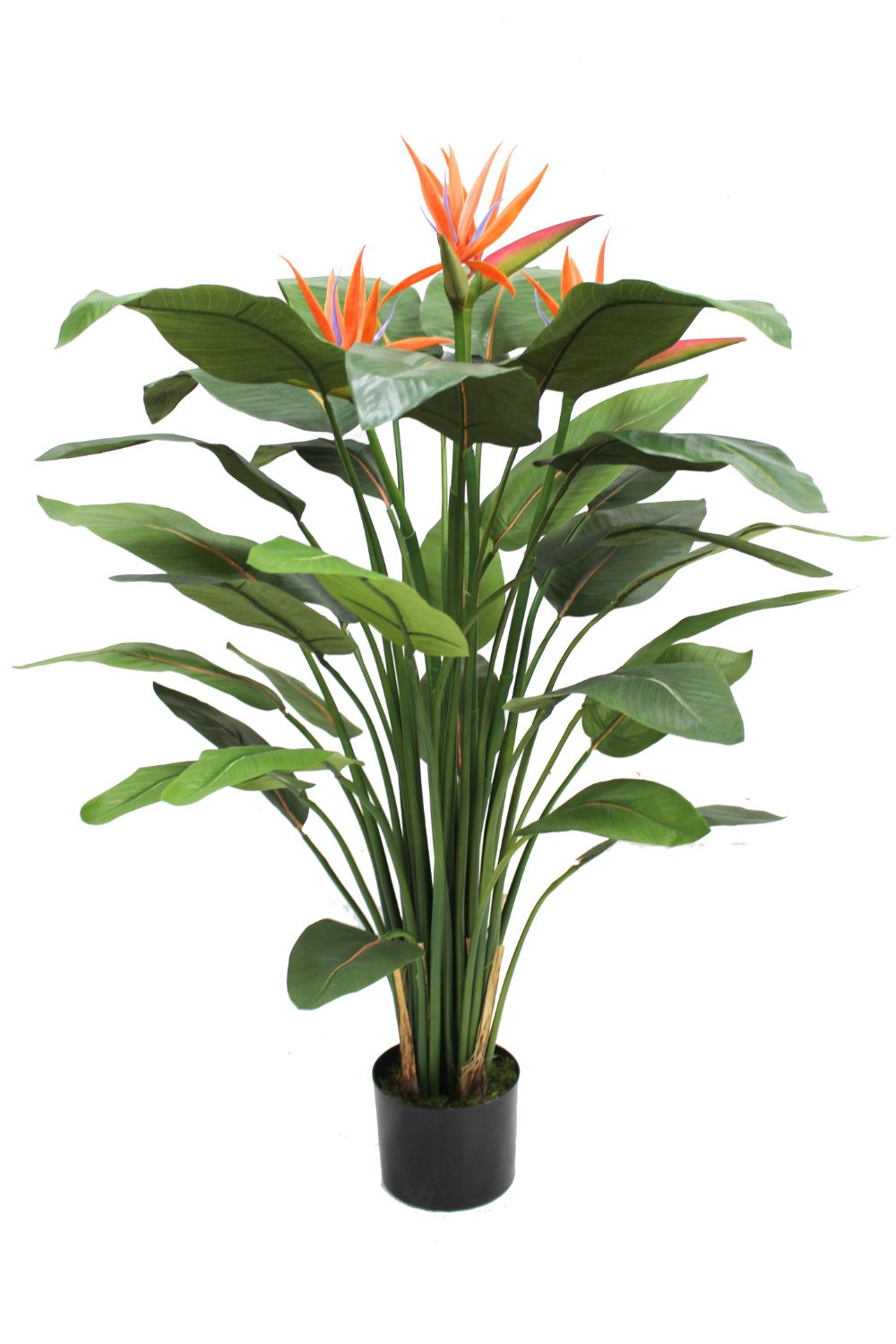 Strelitzia kunstplant 120cm