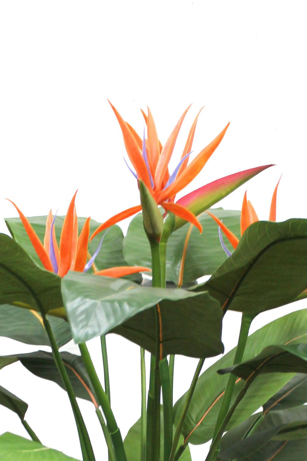 bloemen strelitzia kunstplant 120cm