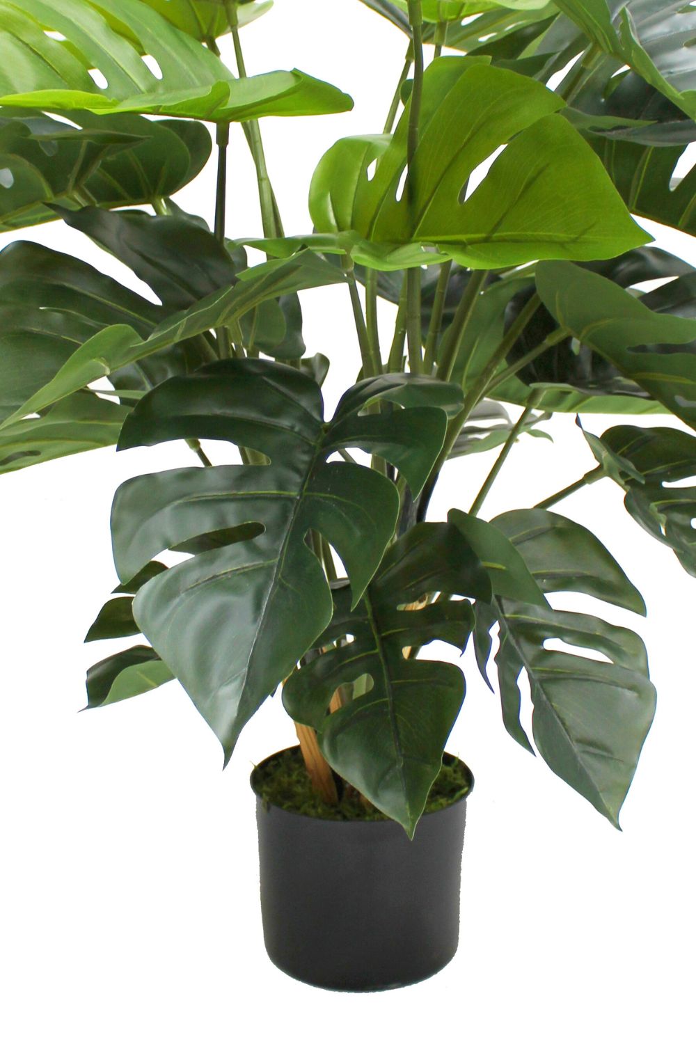 Monstera Kunstplant 65cm