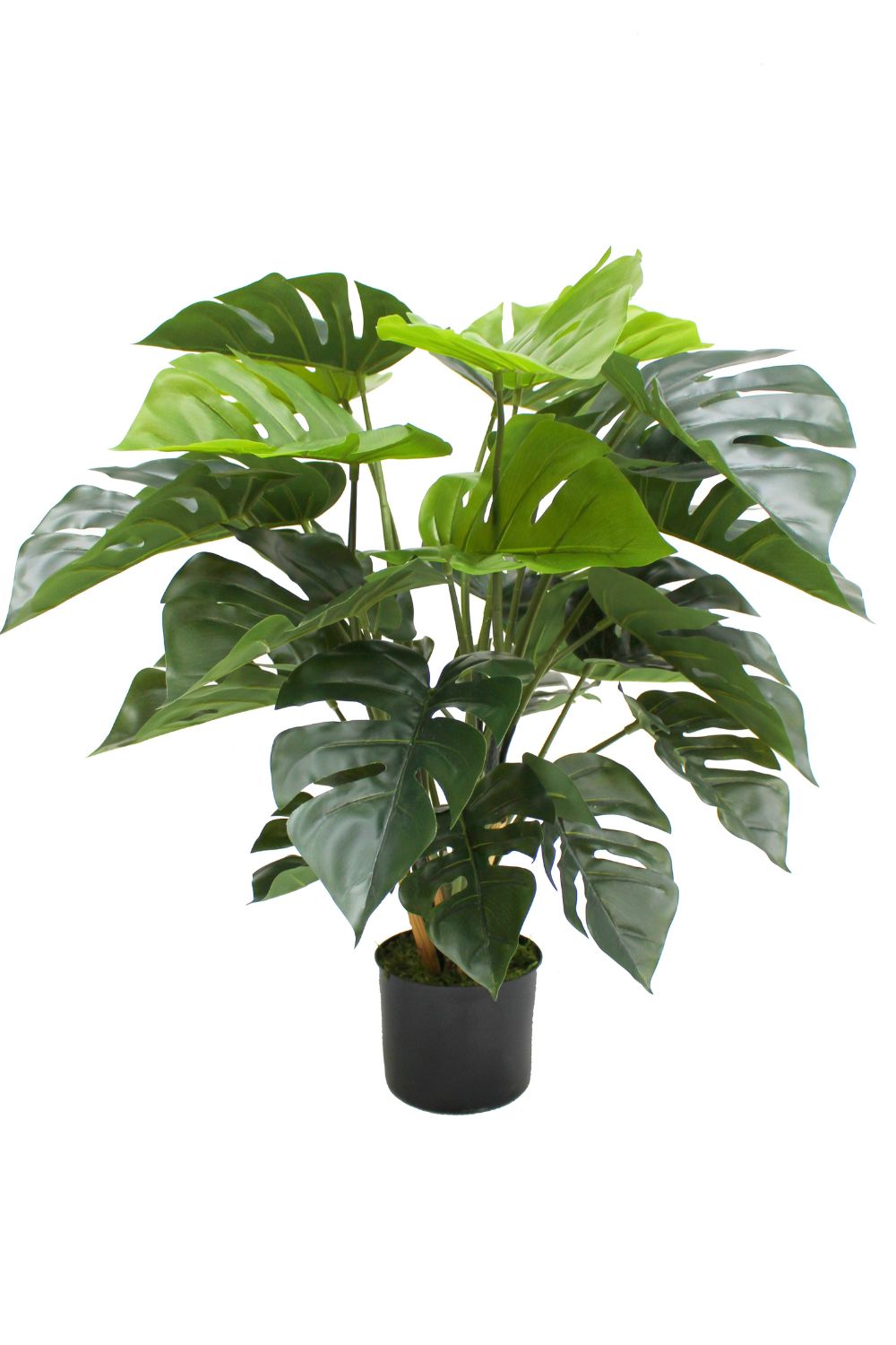 Pre-Order Monstera Kunstplant 65cm