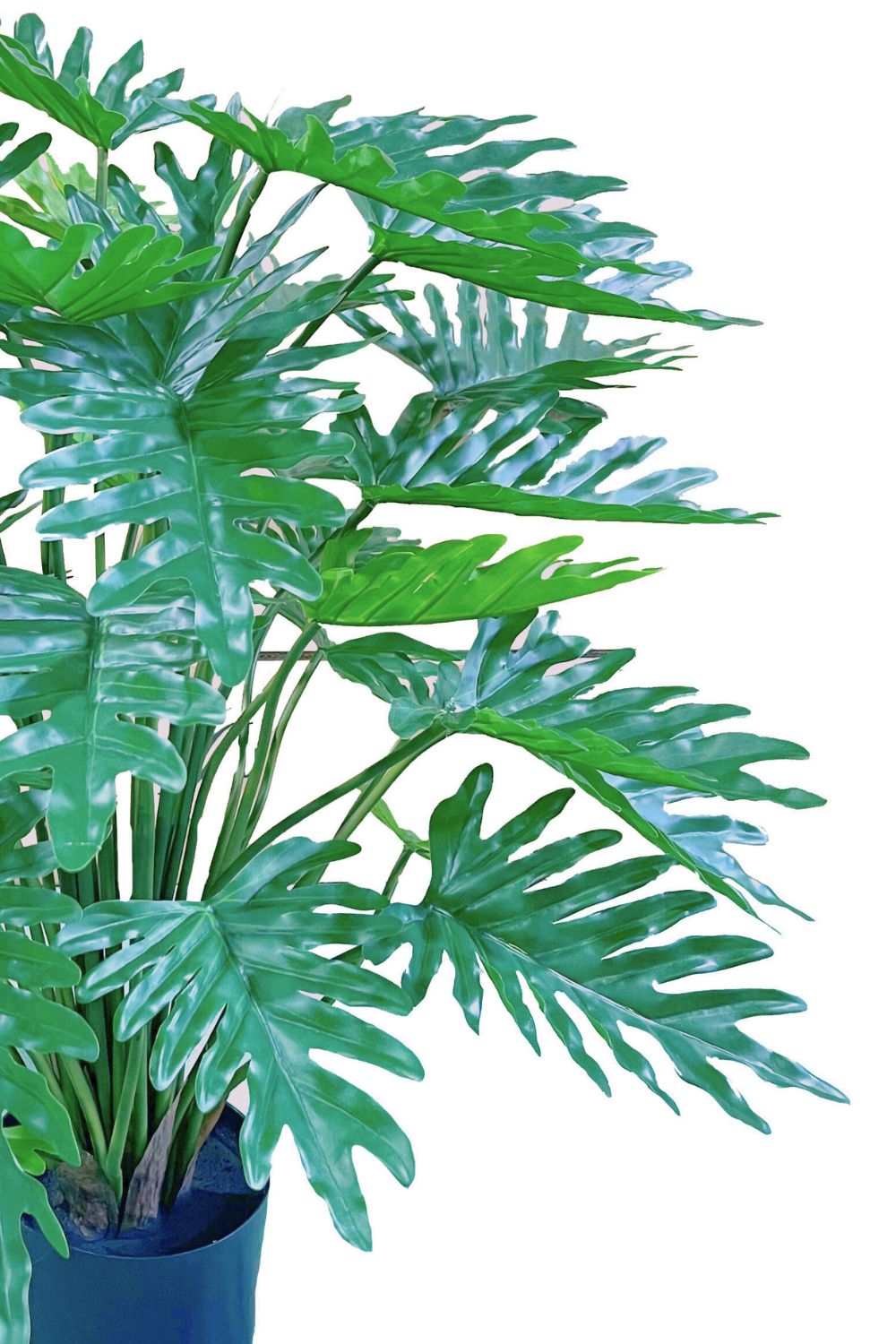 Bladeren Philodendron kunstplant 75cm