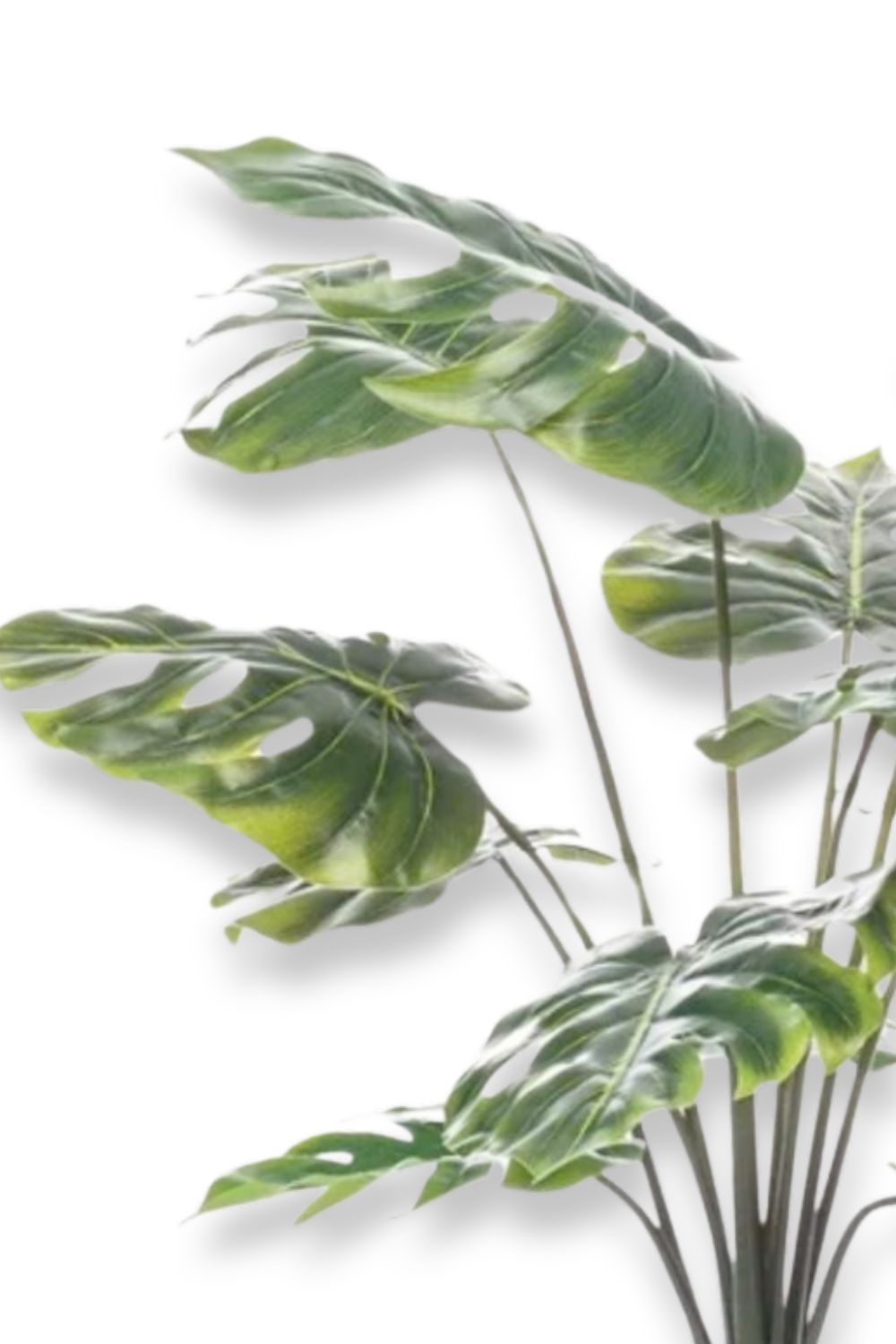 bladeren monstera kunstplant 80cm