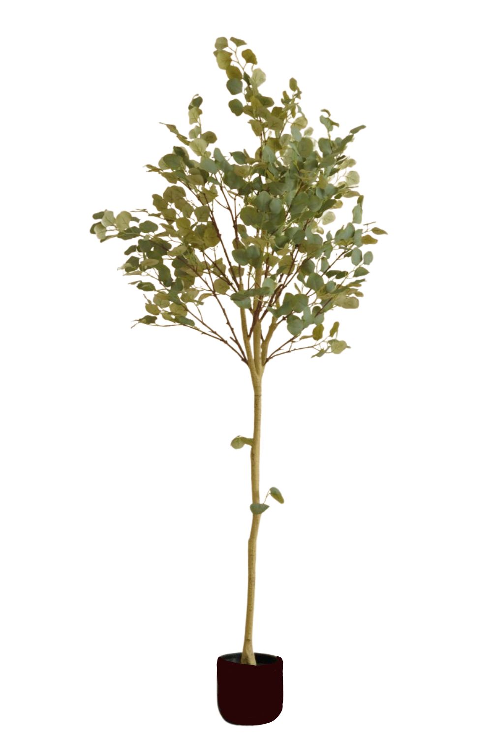 Eucalyptus kunstboom 180cm