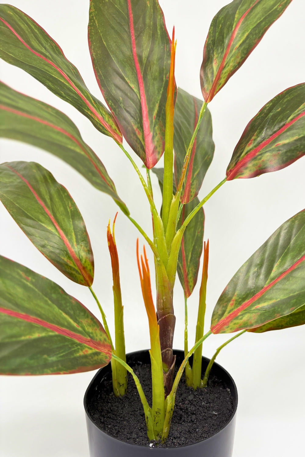 Cordyline Kunstplant 50cm