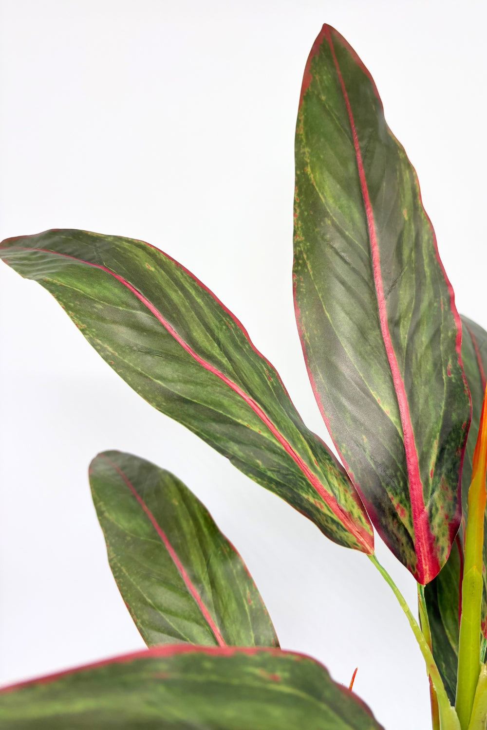 Cordyline Kunstplant 50cm