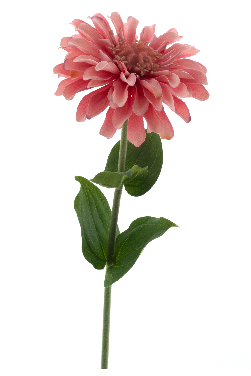 Zinnia Kunstbloem Roze 58cm
