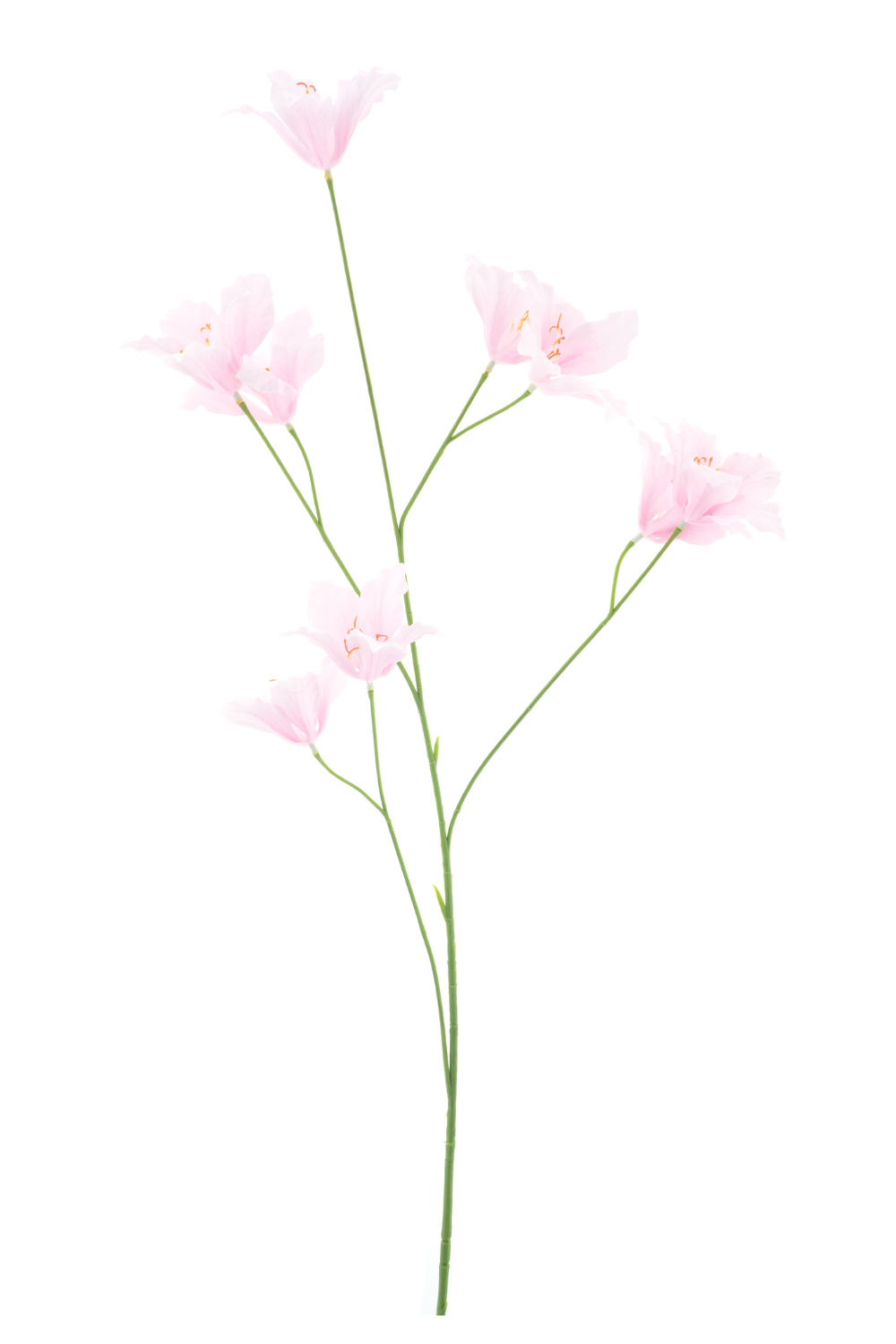 Wilde Lelie Kunsttak 86cm Roze