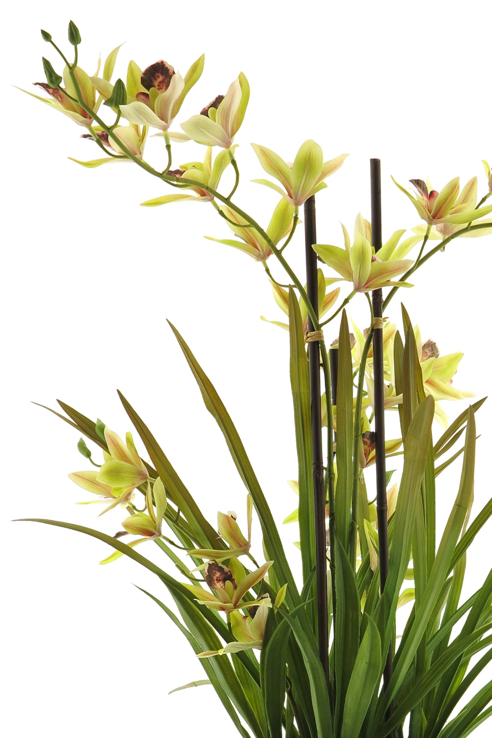 Meadow Orchidee kunstplant Groen 70cm