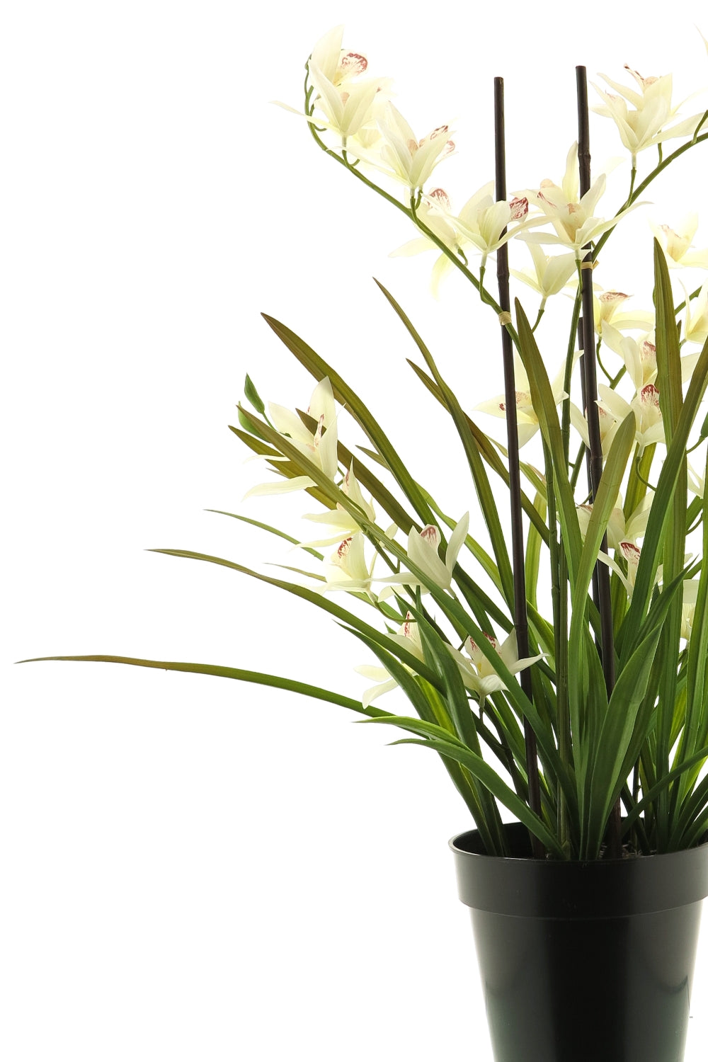 Meadow Orchidee kunstplant Creme 70cm