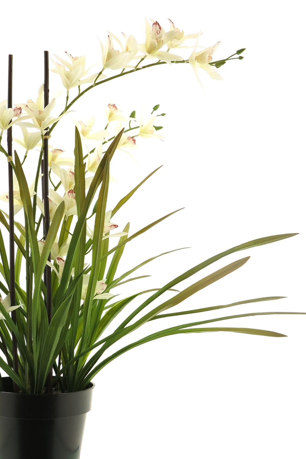 Meadow Orchidee kunstplant Creme 70cm
