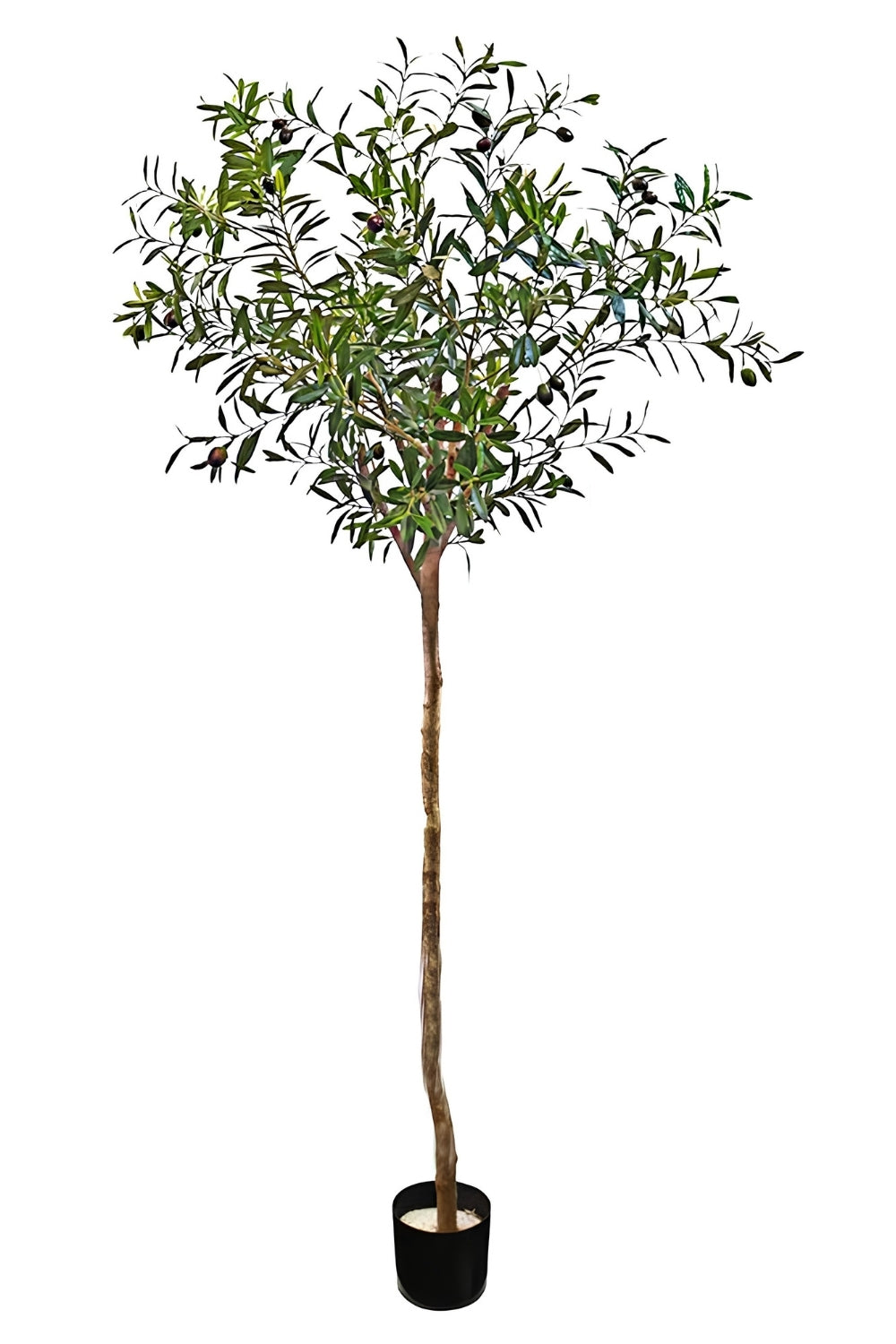Kunst Olijfboom 180cm
