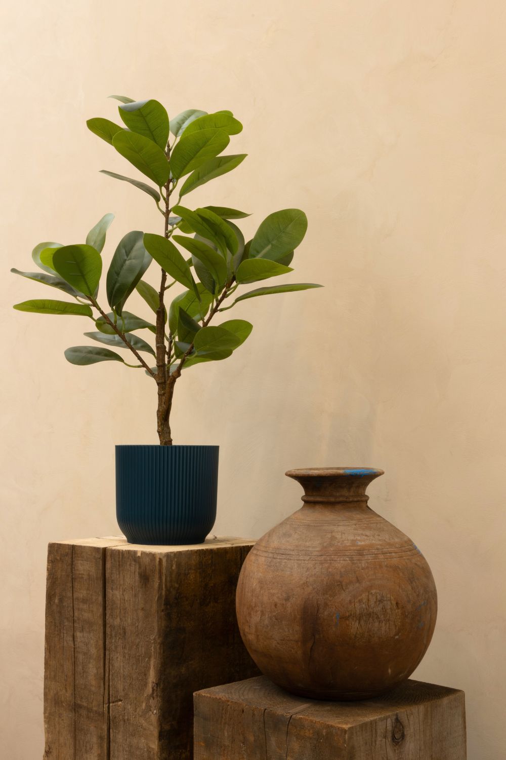 sfeerbeeld Ficus kunstplant 80cm
