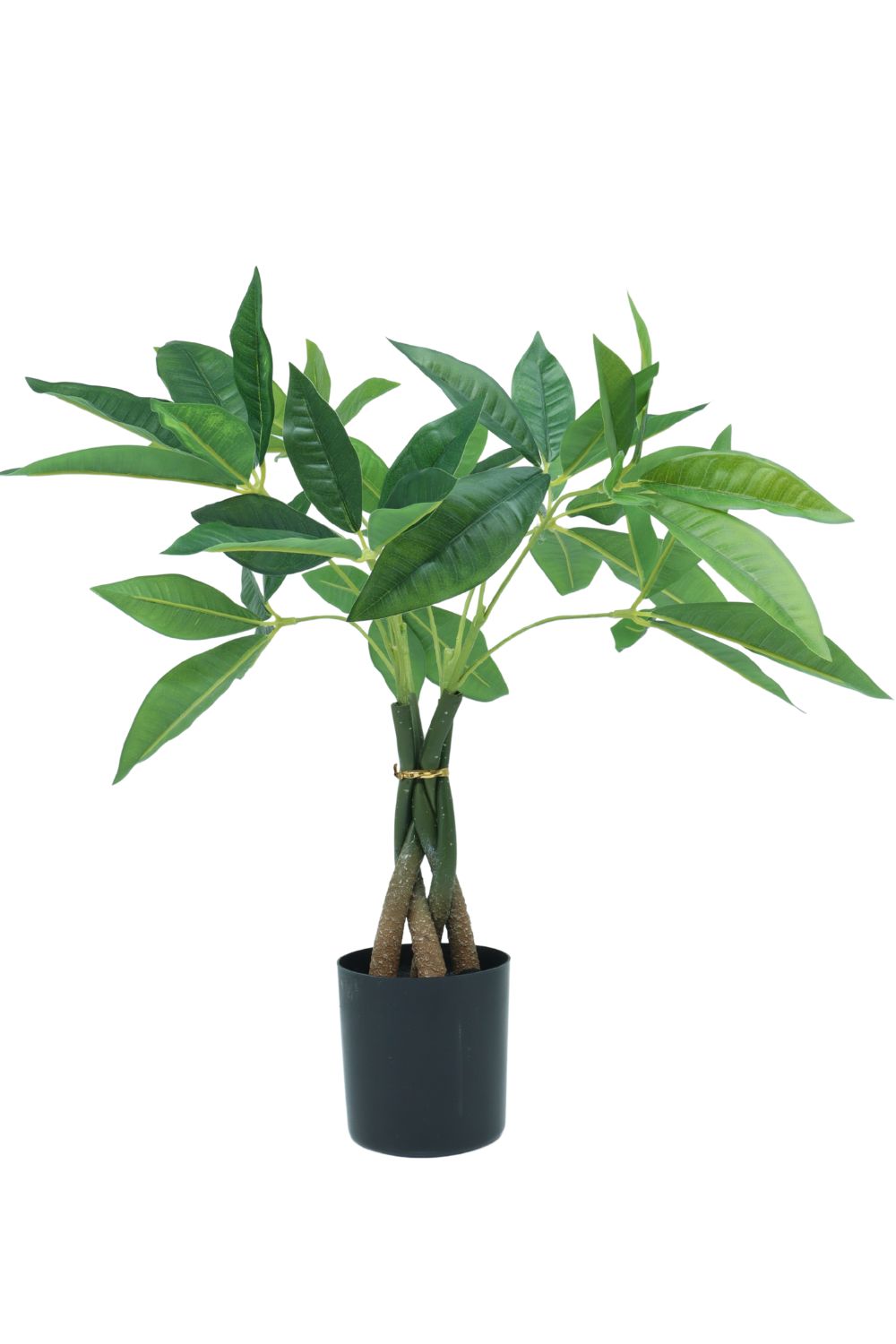Pachira Kunstplant 45cm - prettyplants