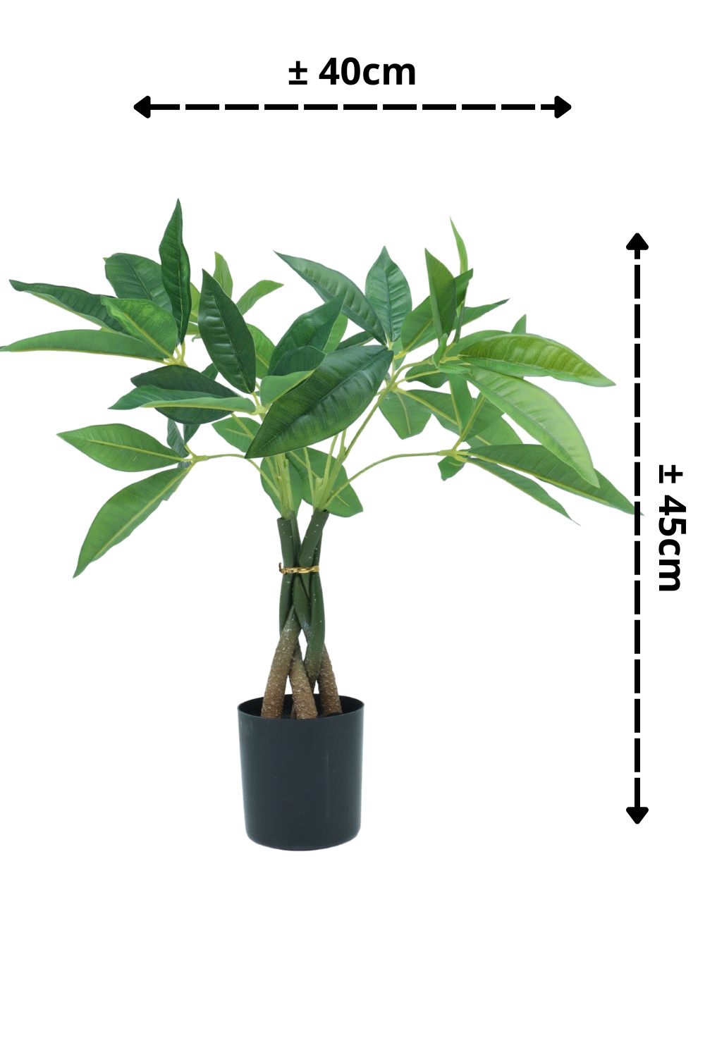 Pachira Kunstplant 45cm - prettyplants