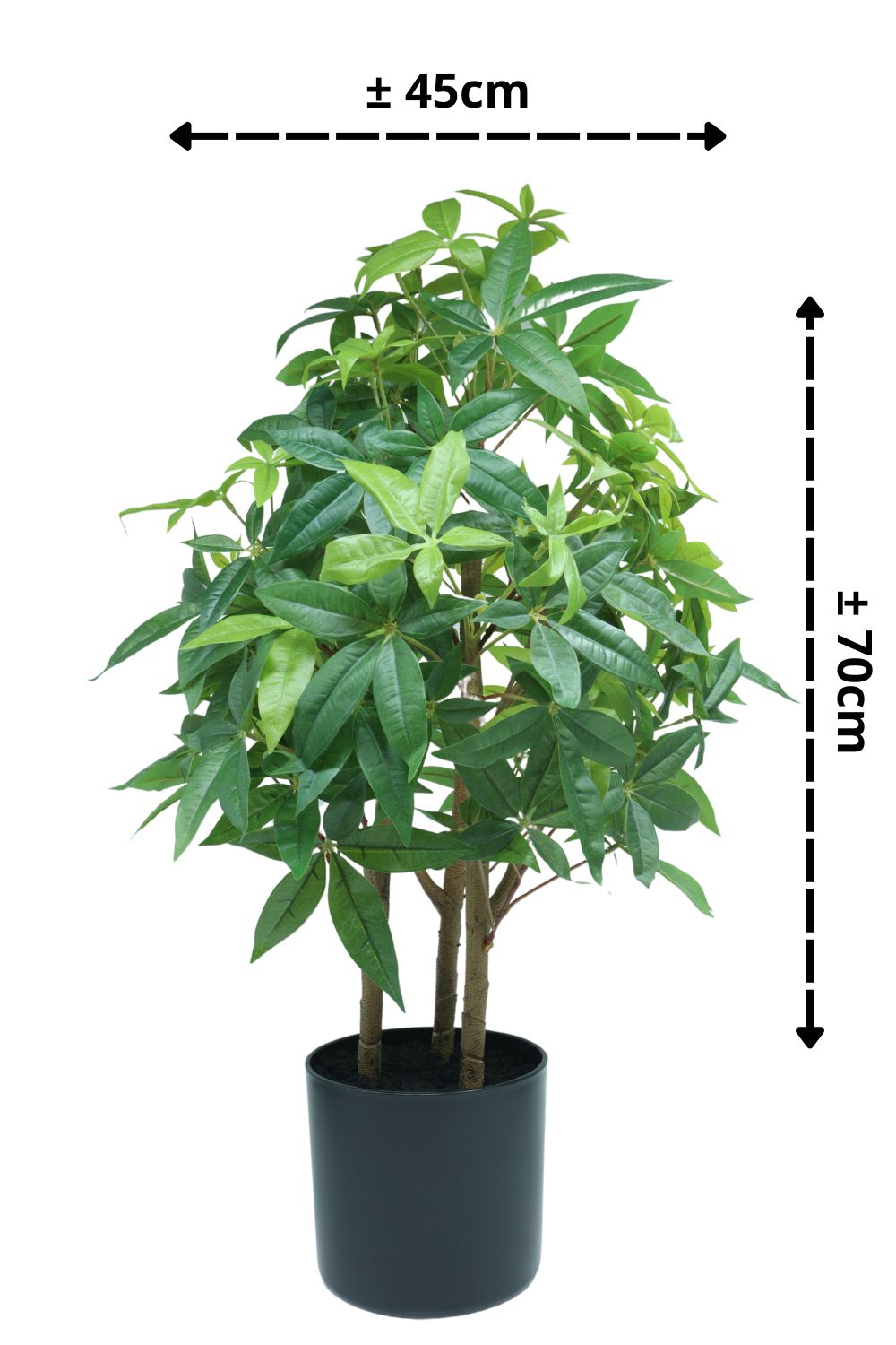 Pachira Kunstplant 70cm - prettyplants
