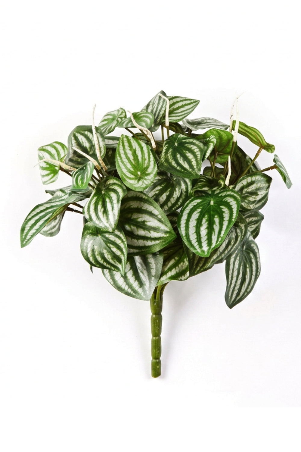 Peperomia Kunststeker 30cm