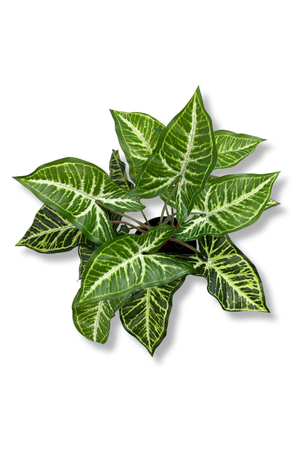 Philodendron Kunstplant 40cm