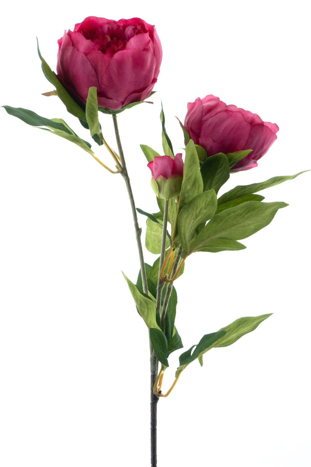 Pioenroos Kunstbloem 65cm Fuchsia
