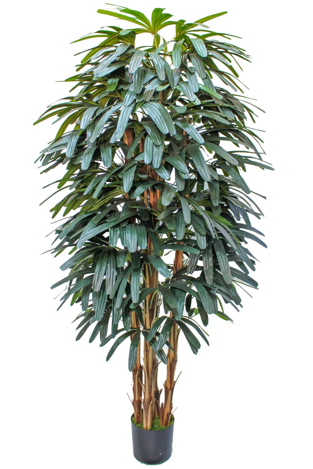 Raphis Kunstpalm 180cm