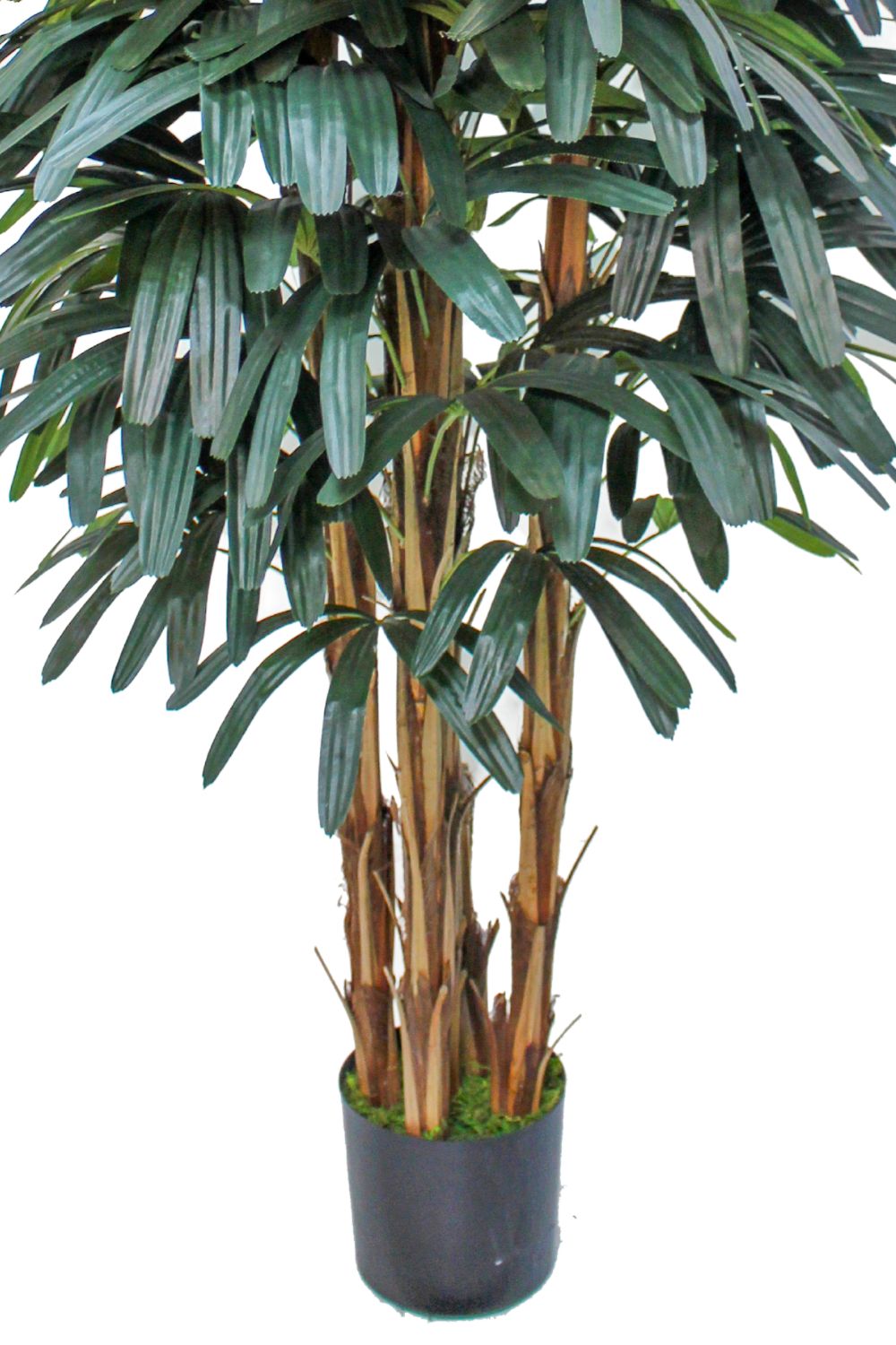 Onderzijde raphis kunstpalm 180cm