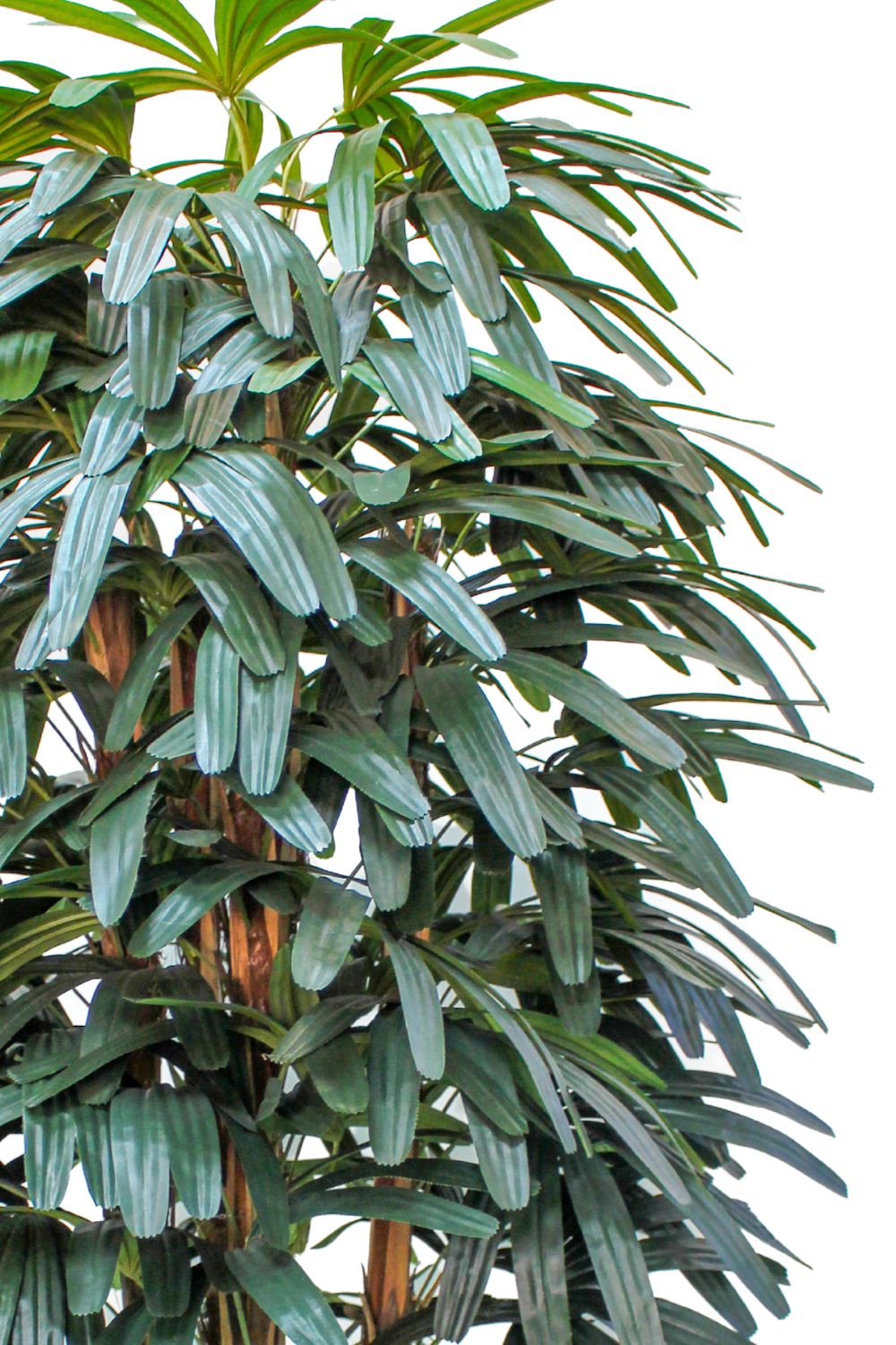 Bladeren raphis kunstpalm 180cm