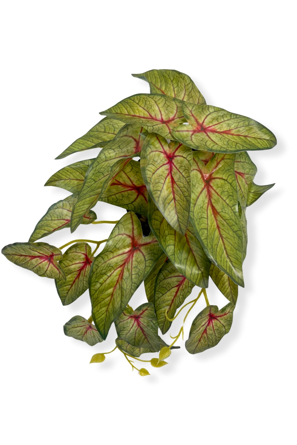 Caladium Kunstplant 17cm