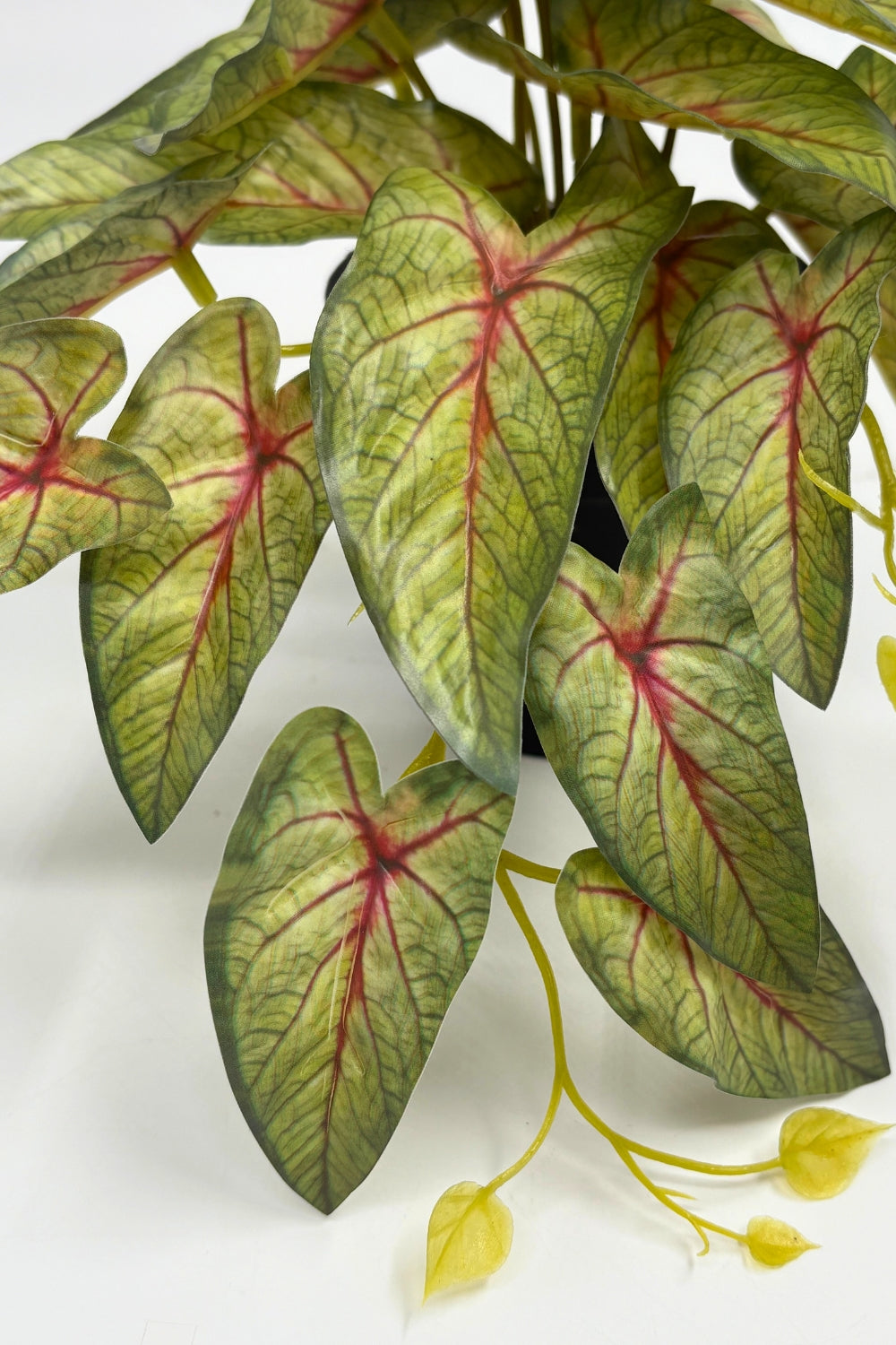 Caladium Kunstplant 17cm