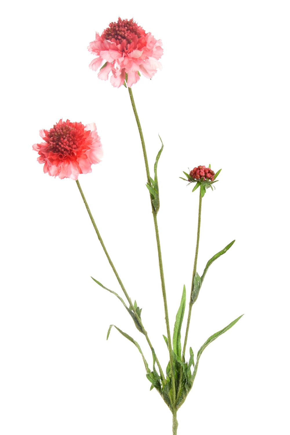 Scabiosa Kunstbloem roze