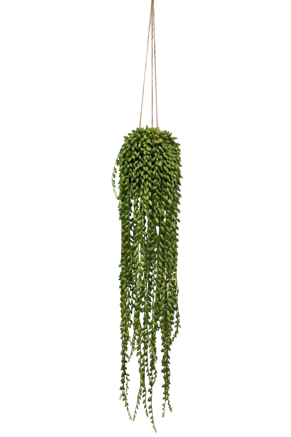 Senecio Kunst Hangplant 75cm