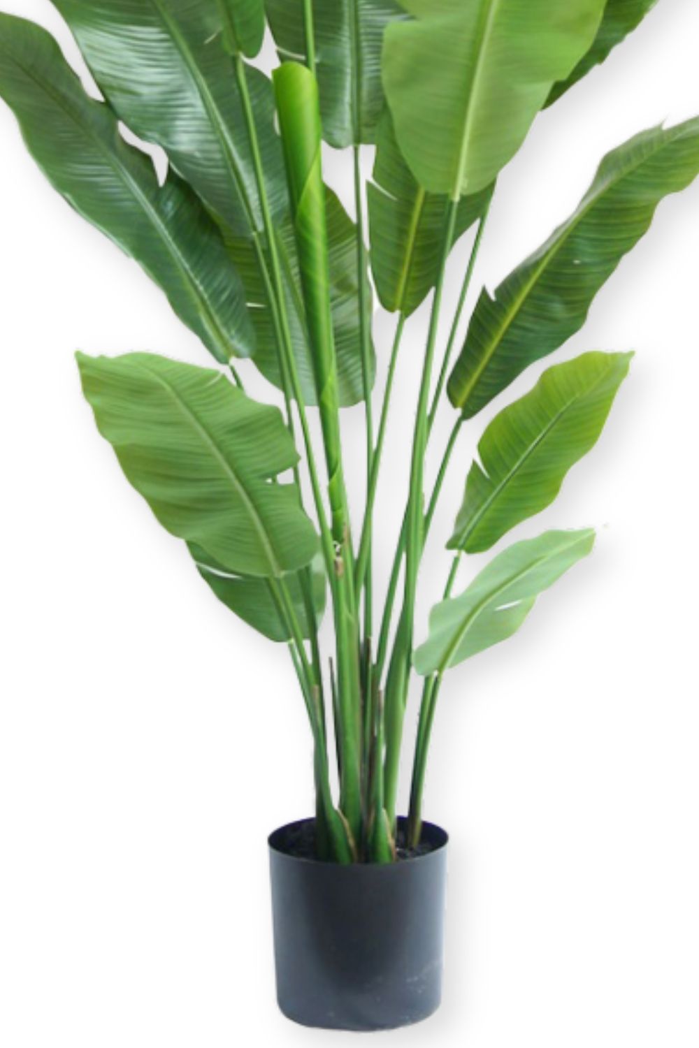 onderkant strelitzia kunstplanten 180cm
