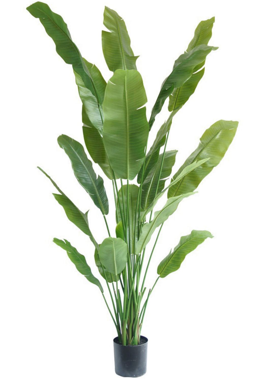 Strelitzia Kunstplant 210cm