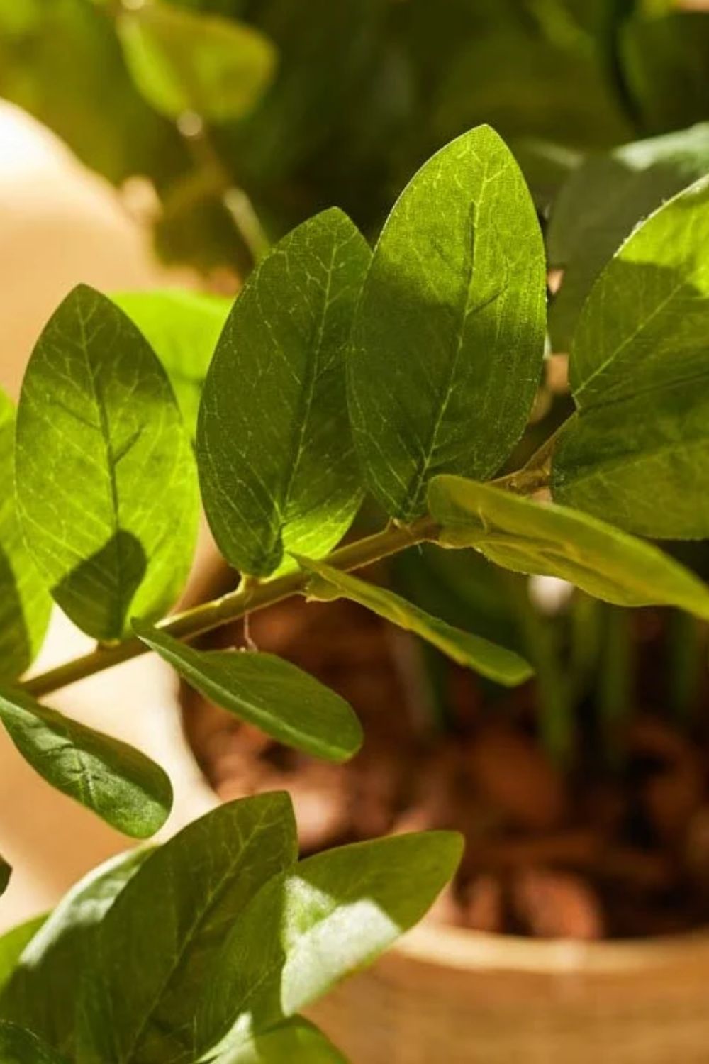 Zamioculcas Kunstplant 70cm