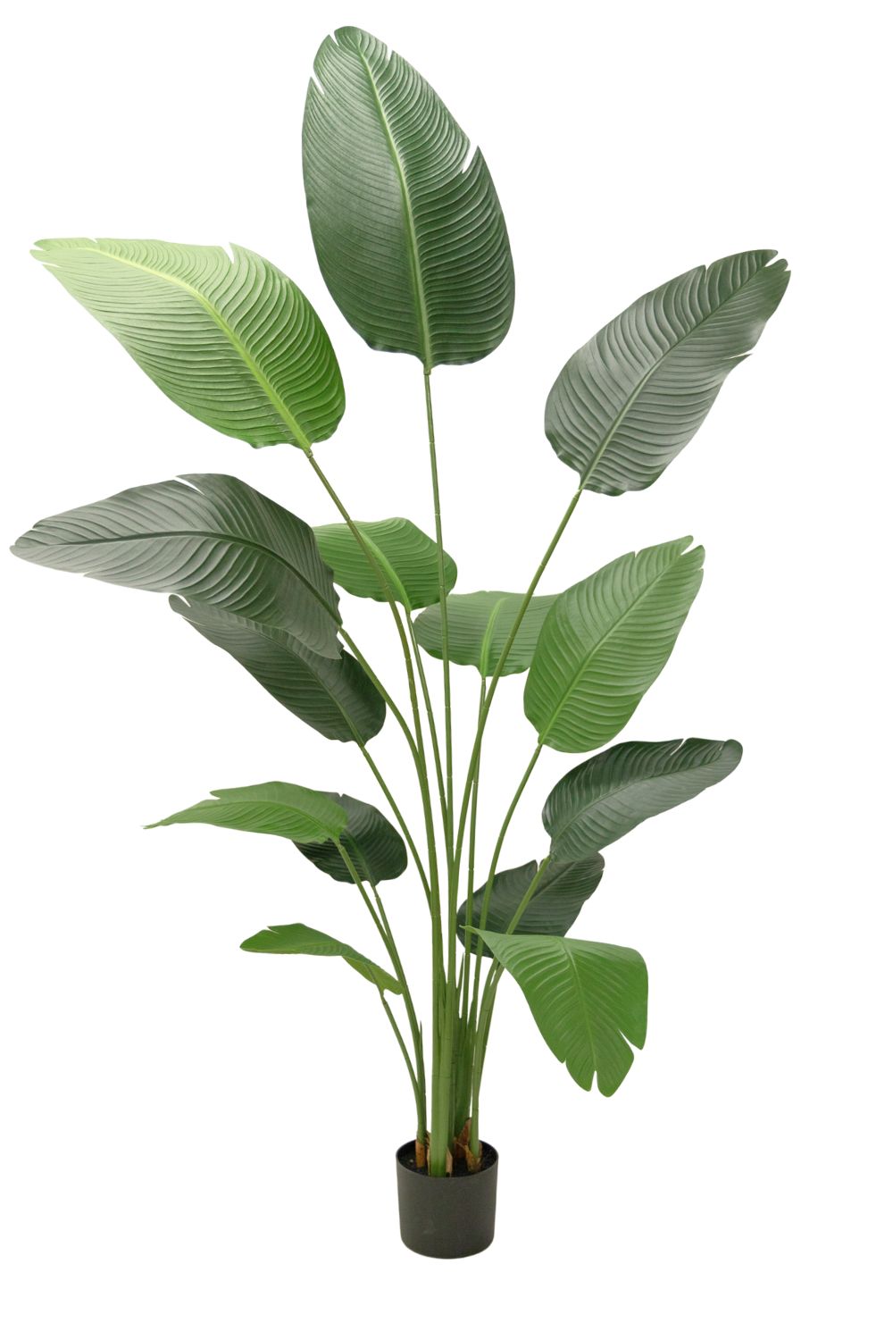 Strelitzia Kunstplant 180cm Budget