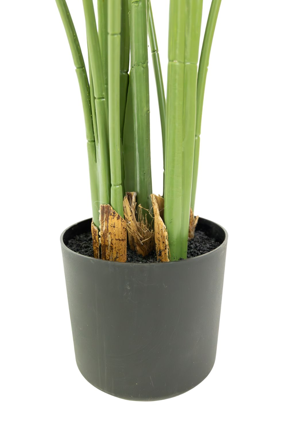 Strelitzia Kunstplant 210cm Budget