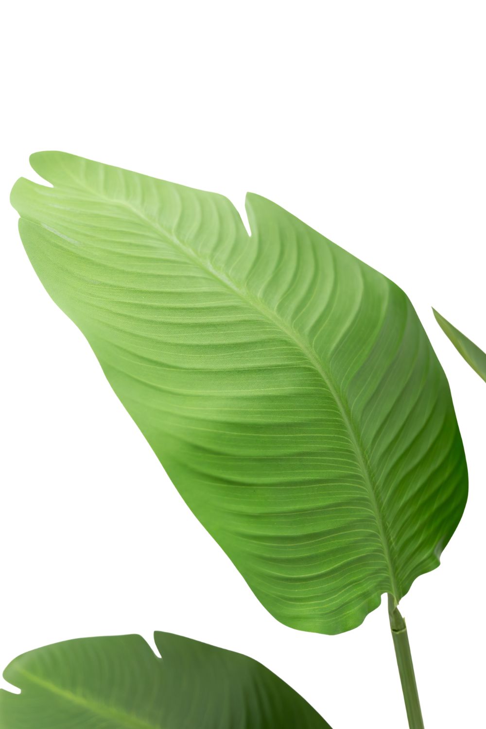 Strelitzia Kunstplant 180cm Budget